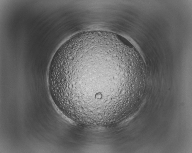 X0000073470957200608181328