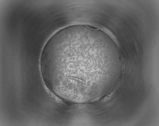 X0000073470958200608181328