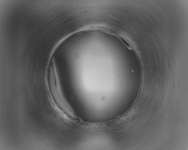 X0000073470960200608181328