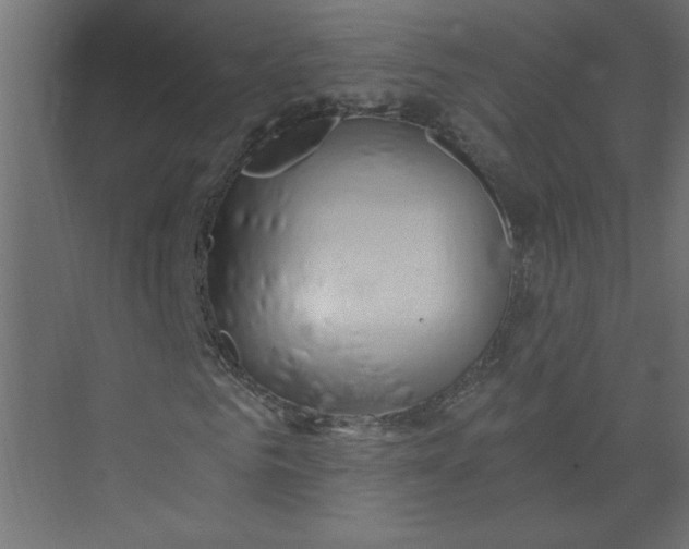 X0000073470961200608181327