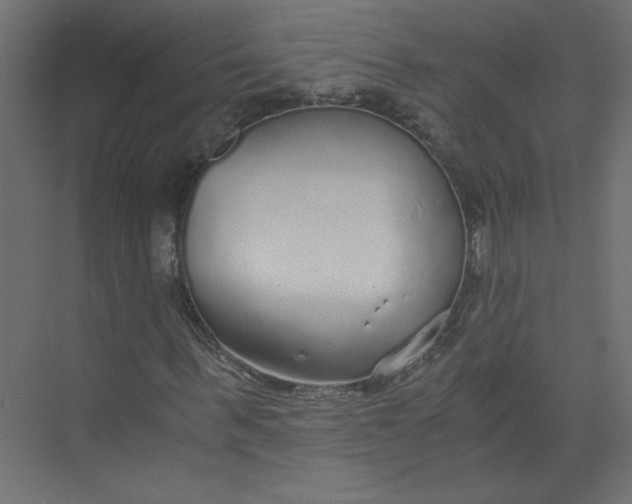 X0000073470963200608181327