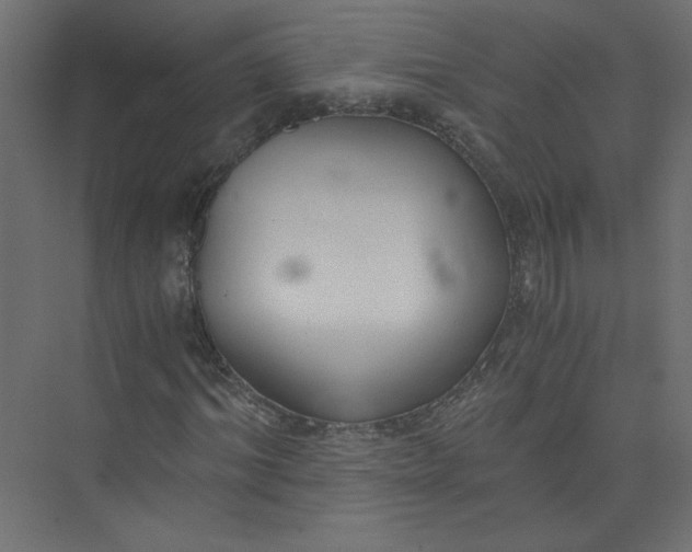 X0000073470964200608181327