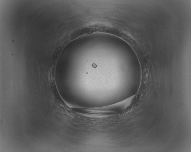 X0000073470965200608181327