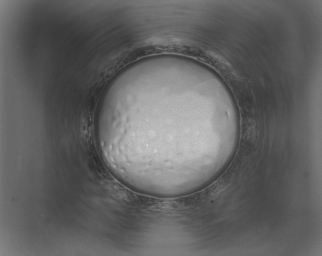 X0000073470966200608181327