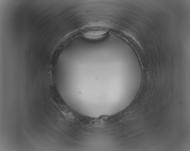 X0000073470968200608181327