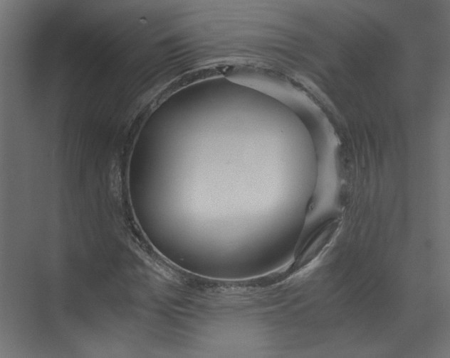 X0000073470969200608181327