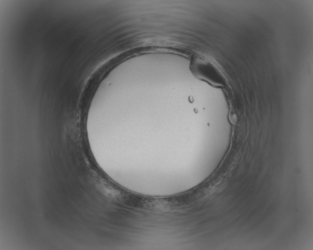 X0000073470971200608181327