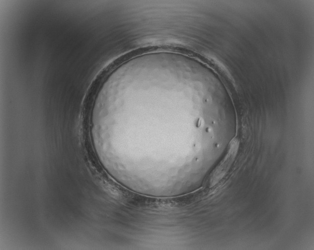 X0000073470975200608181327