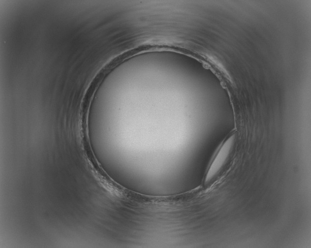 X0000073470976200608181327