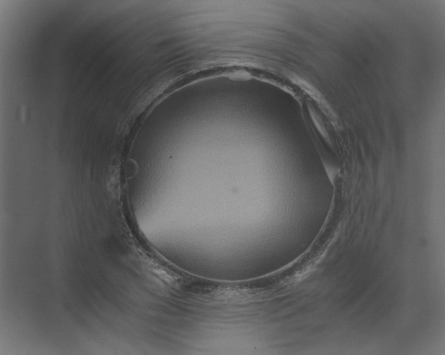 X0000073470977200608181327