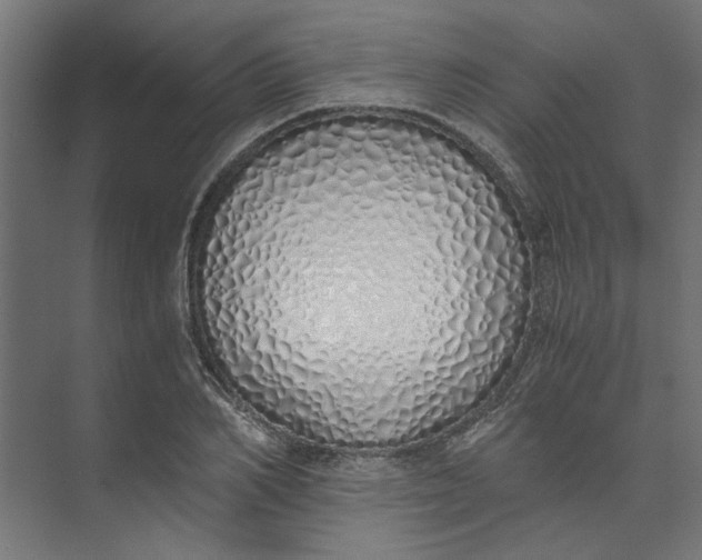 X0000073470982200608181326