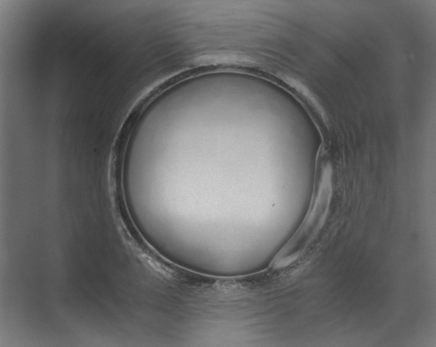 X0000073470983200608181326