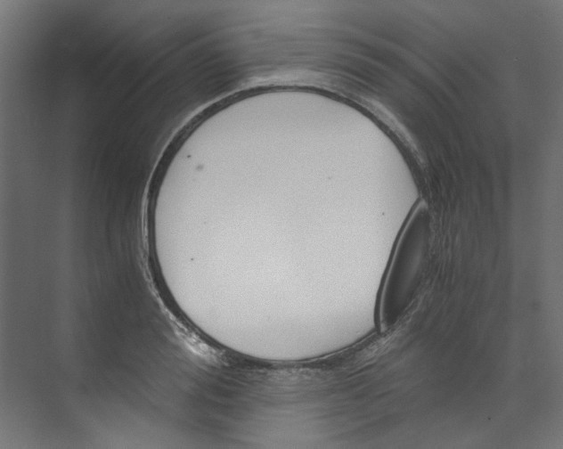 X0000073470988200608181326