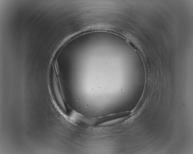 X0000073470989200608181326