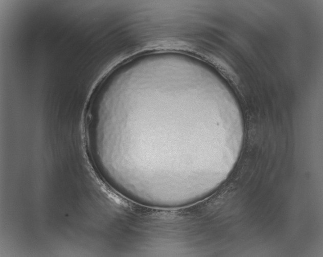 X0000073470990200608181326