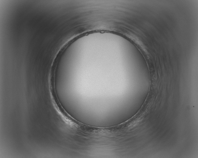 X0000073470991200608181326