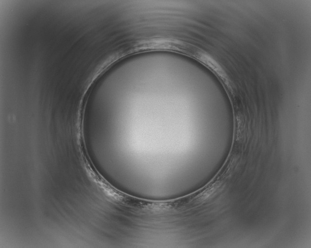 X0000073470994200608181326