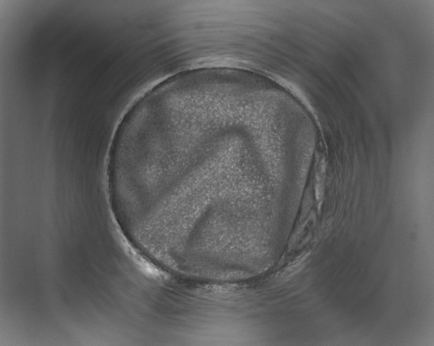 X0000073470995200608181326