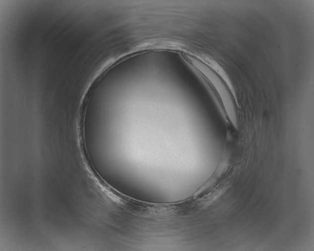 X0000073470997200608181326