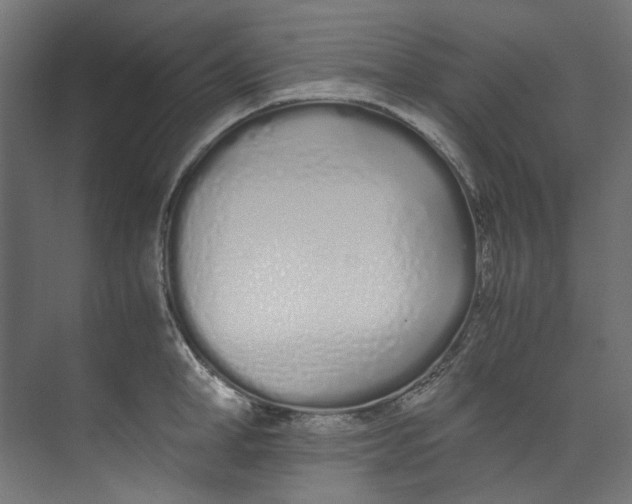 X0000073470998200608181326