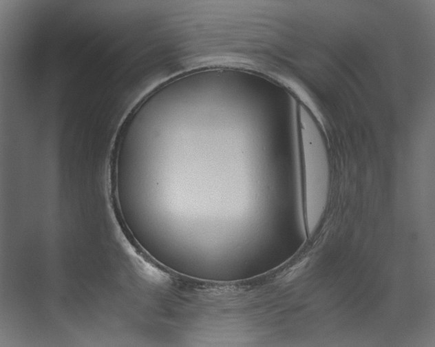 X0000073470999200608181326