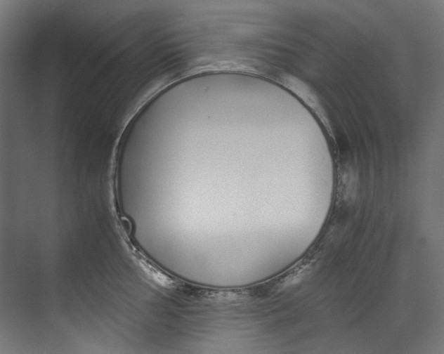 X0000073471002200608181326