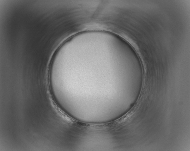 X0000073471008200608181326