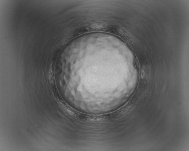 X0000073471011200608181325