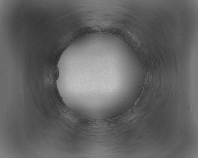 X0000073471012200608181325