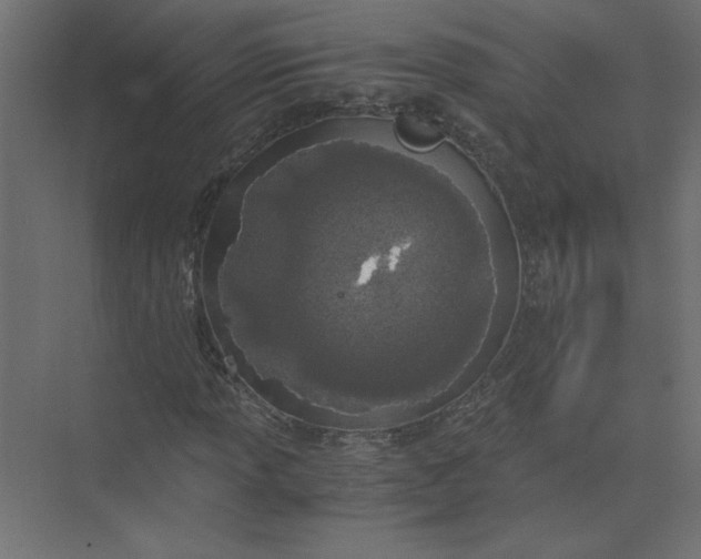 X0000073471013200608181325