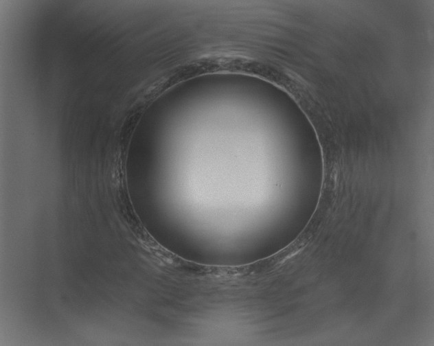 X0000073471014200608181325