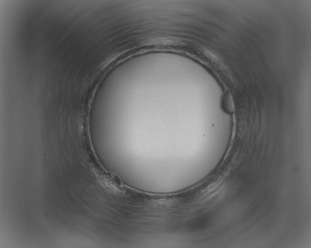 X0000073471017200608181325