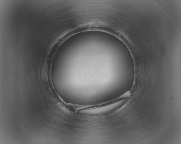 X0000073471018200608181325