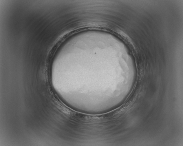 X0000073471019200608181325