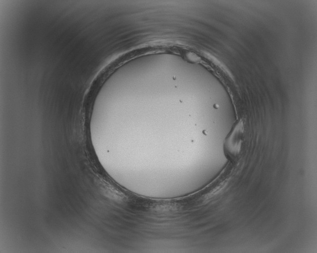 X0000073471021200608181325