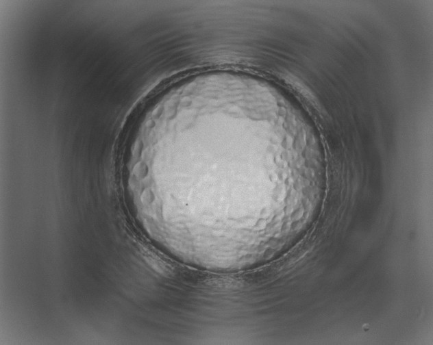 X0000073471023200608181325