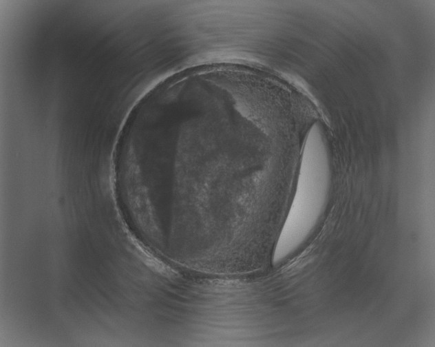 X0000073471024200608181325