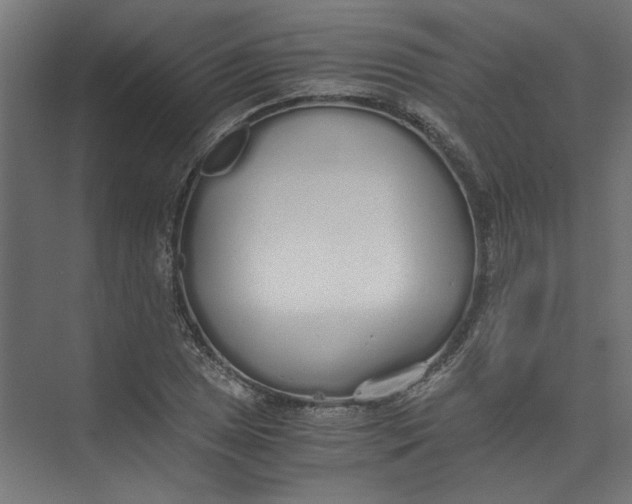 X0000073471025200608181325