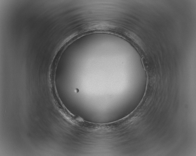 X0000073471026200608181326