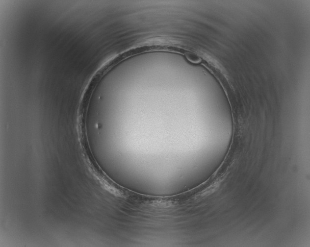 X0000073471029200608181326