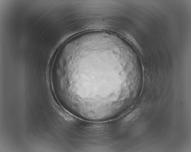 X0000073471035200608181326