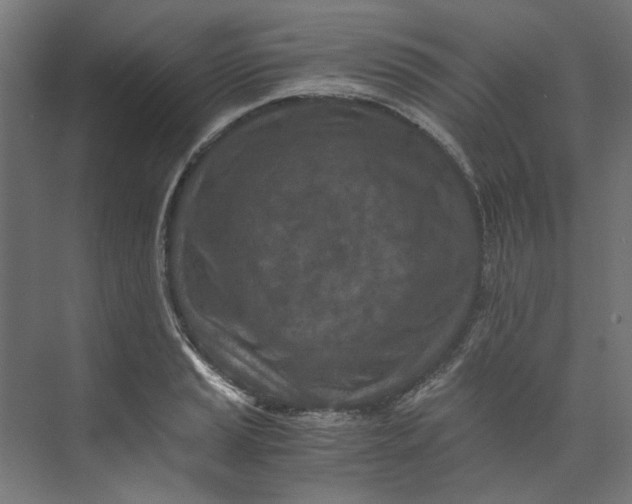 X0000073471037200608181326