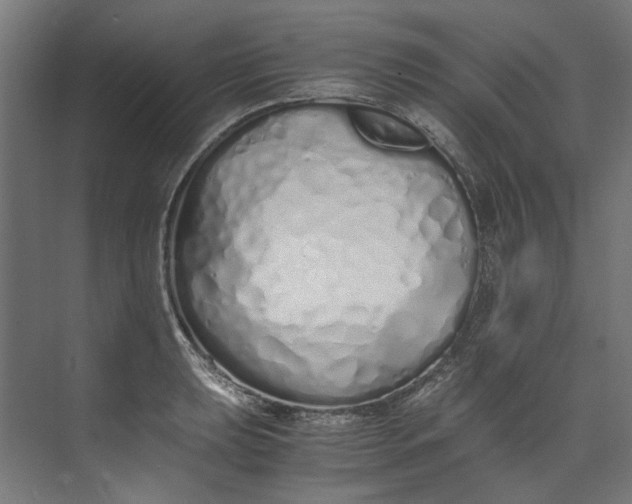 X0000073471039200608181326