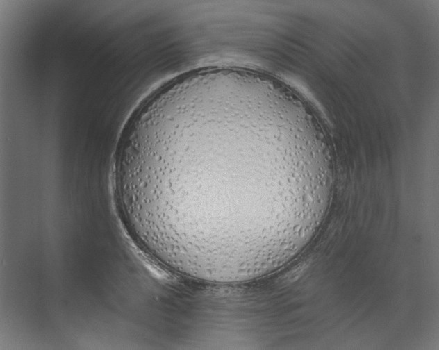 X0000073471040200608181326