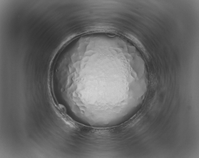 X0000073471043200608181326