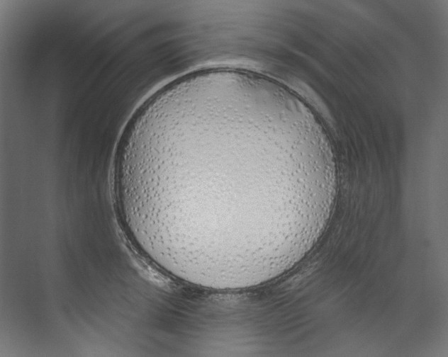 X0000073471044200608181326