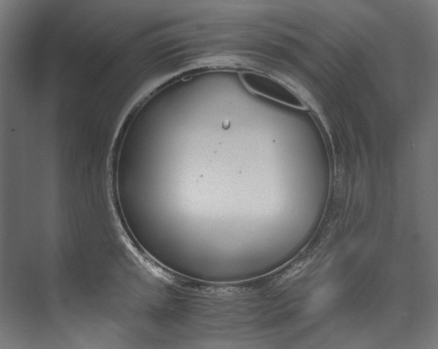 X0000073471045200608181326