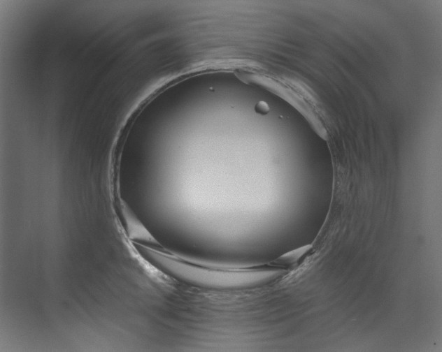 X0000073471046200608181326