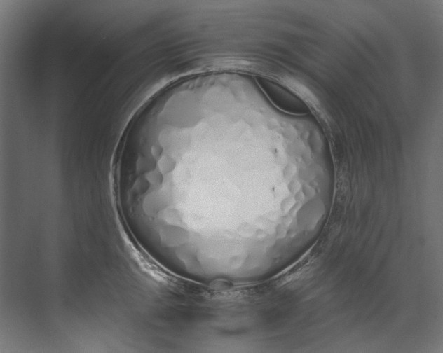 X0000073471047200608181326