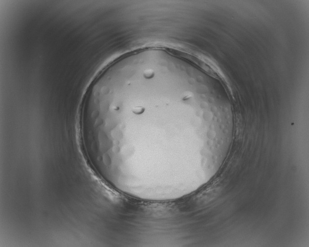 X0000073471048200608181326